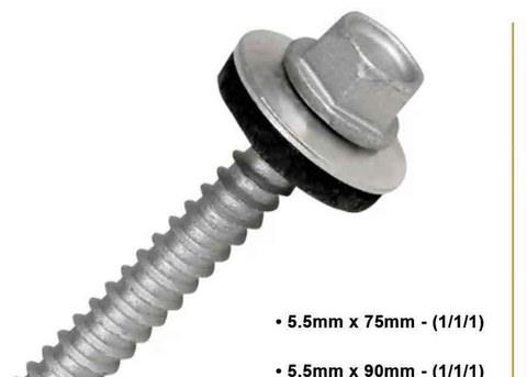 Ruspert Roofing Tek Screw Xpert – 100 Pcs