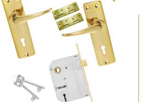 Pro Secure Brass With Butt Hinge