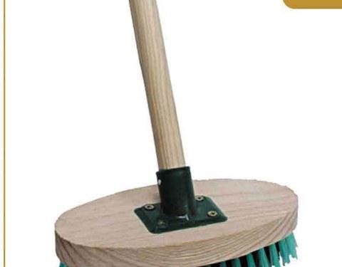 Broom Round Shiner